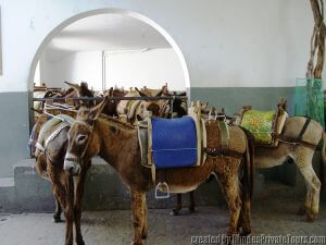 Lindos Taxi Tour 