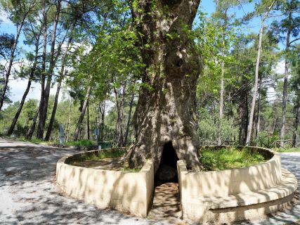 Tours of Rhodes Island for first time visitors 
