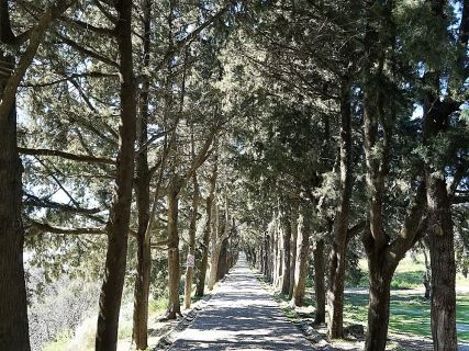 Filerimos, Tours for Seniors in Rhodes