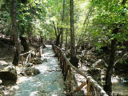 Rhodes full day tours from cruise ship 