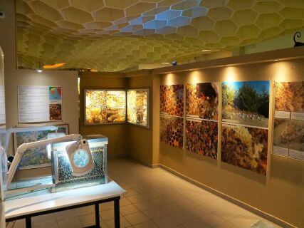 Rhodes Greece Kids Tours