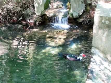 Natural beauty Rhodes tours