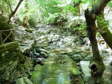 Nature tours in Rhodes Greece