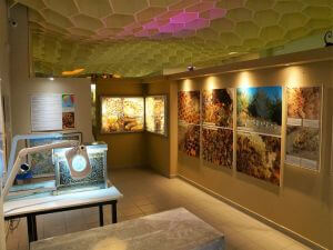 Rhodes Tours, Sightseeing Tours on Rhodes Greece