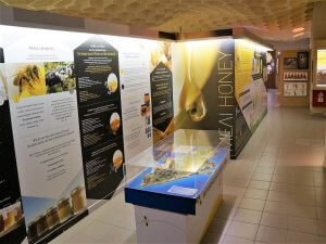 Rhodes Tours, Bee museum