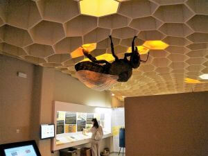 Rhodes Private Sightseeing Tours, Bee museum