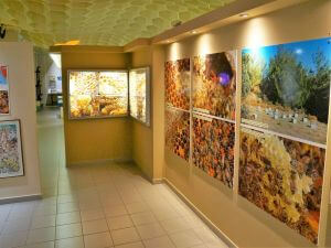 Rhodes Private Tours, Allure Tours in Rhodes