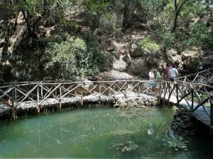 Rhodes Butterfly Valley Tour, Rhodes Private Tours