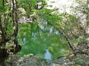 Pelekanos river, Butterfly Valley Rhodes Tour