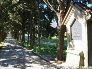 Private Shore Excursions Rhodes Greece