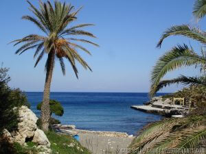 The big Rotonda Kallithea, Rhodes on your own from cruise ship 