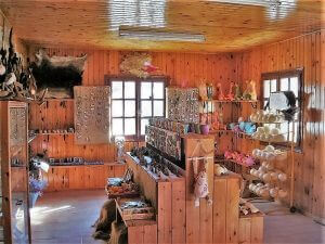 Private Tours in Rhodes Greece, Ostrich Farm