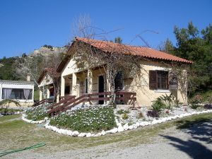 Rhodes Greece Tours, Ostrich Farm
