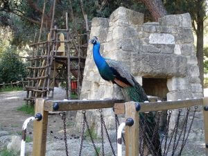 Rhodes Greece Allure Tours, Rodini Park