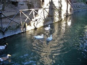 Rhodes Port Excursions, Rodini Park