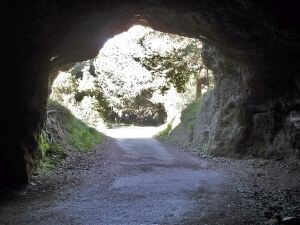 Rhodes cruise excursions, Rodini Park