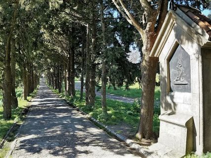 Rhodes Medieval City Tours