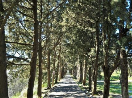 Rhodes tours for natural attractions