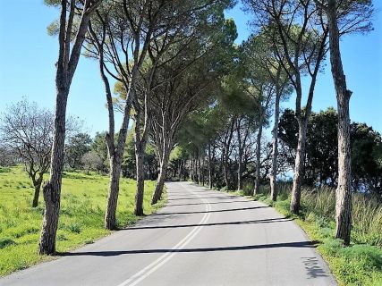 Rhodes Island natural tours 