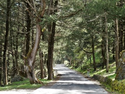 Rhodes Private Tours, Landscape Tours