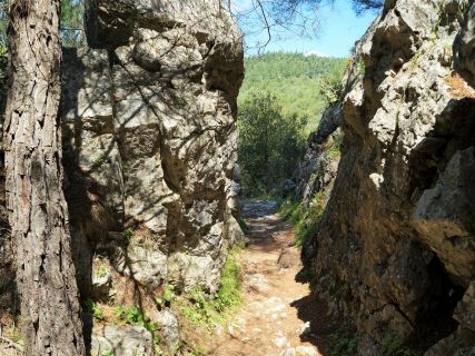 Rhodes Greece Landscape Tours