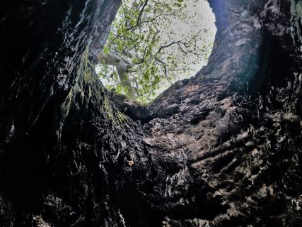Private Landscape Tours in Rhodes