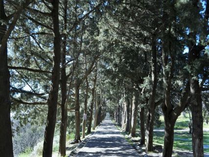 Rhodes scenic vistas, Rhodes Tours